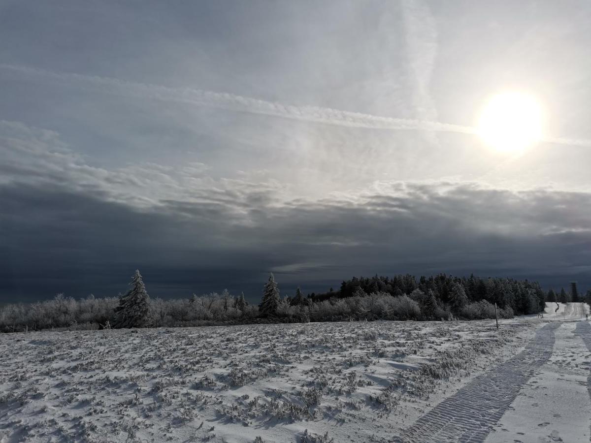 Gite Du Cerf Birkenwald Dış mekan fotoğraf