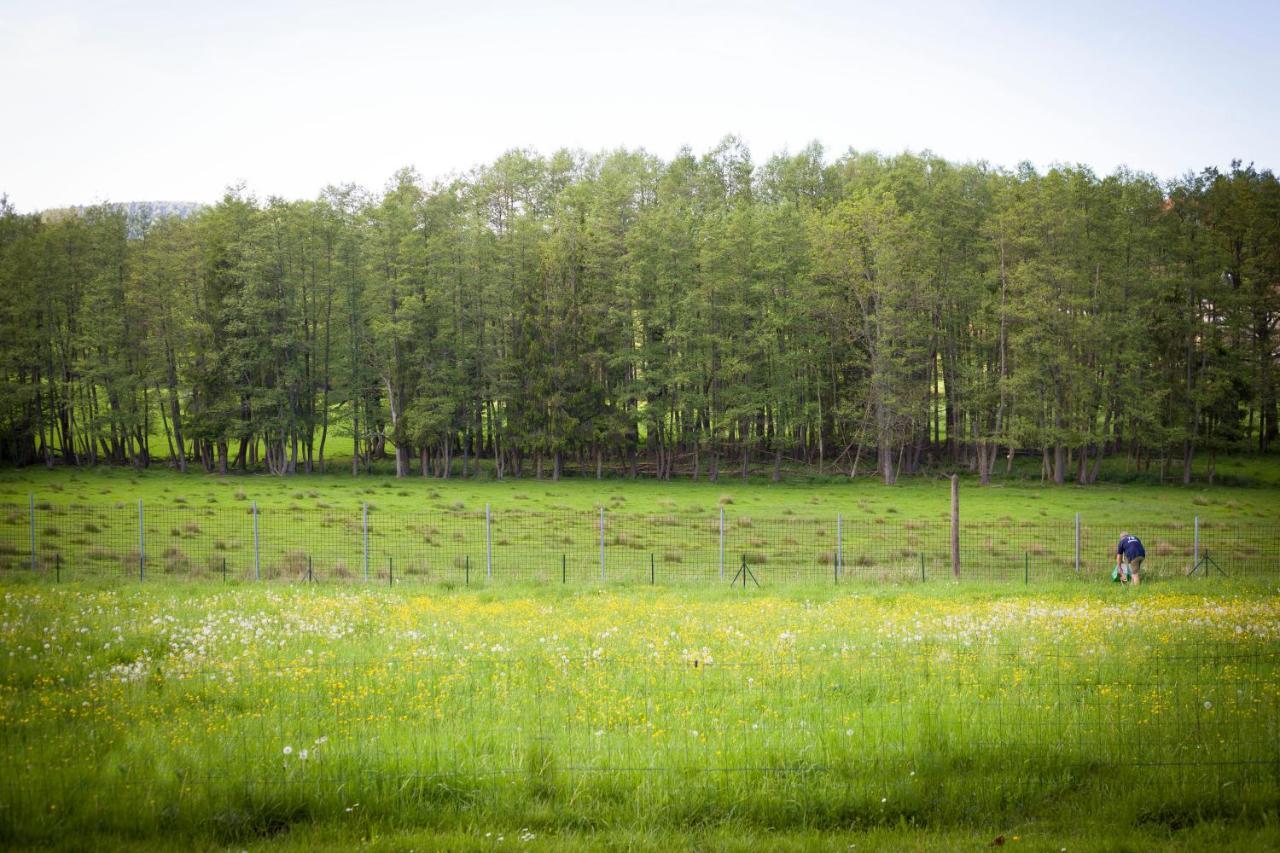 Gite Du Cerf Birkenwald Dış mekan fotoğraf