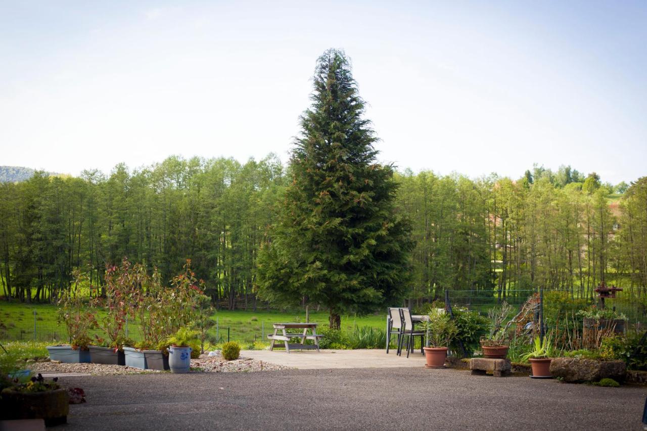 Gite Du Cerf Birkenwald Dış mekan fotoğraf